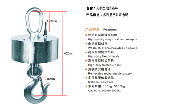 开云体育
,长沙电动葫芦,长沙钢丝绳,电子吊秤哪里的好