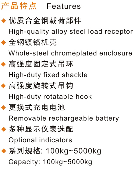 开云体育
,长沙电动葫芦,长沙钢丝绳,电子吊秤哪里的好